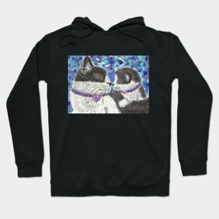 Mother and baby cat art Hoodie